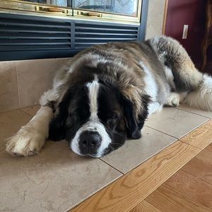 Meet your Posher, Kelli